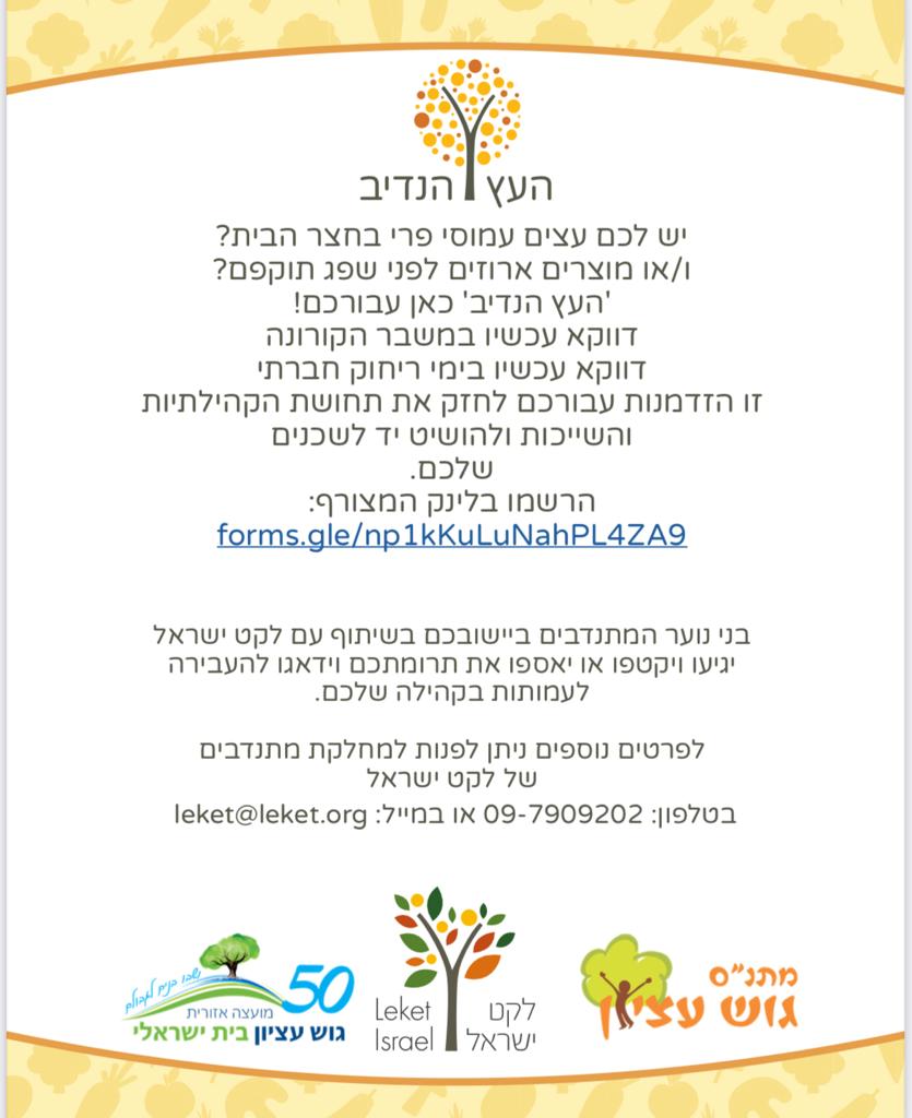 העץ הנדיב