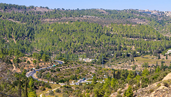 כייף גוש במתנ